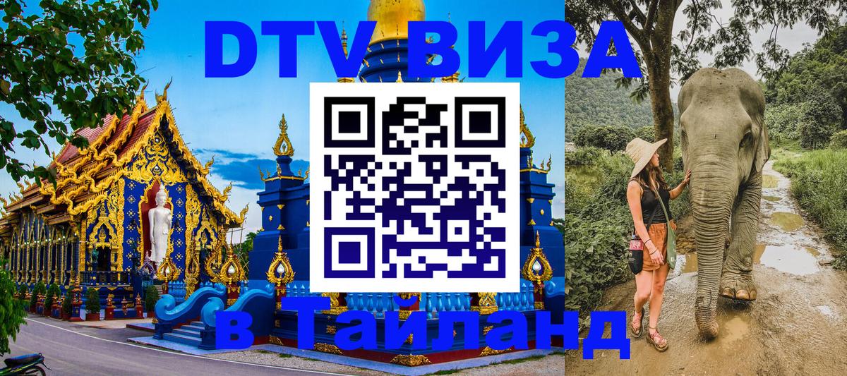 Сколько стоит DTV виза — актуальные цены, оформление даже без документов - Йошкар-Ола  20.11.2025 